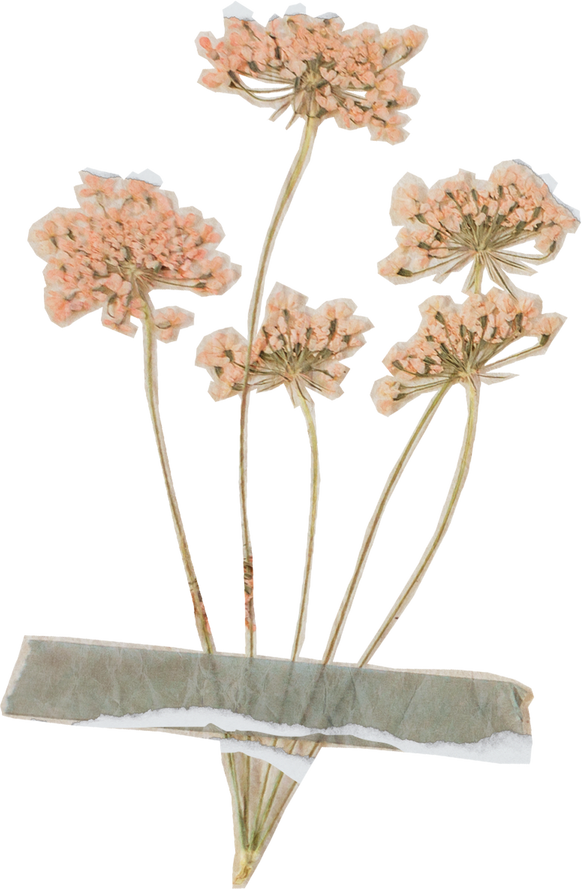 Vintage Feminine Romantic Taped Flowers Cutout